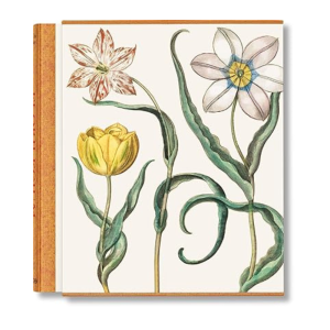 Libro Basilius Besler