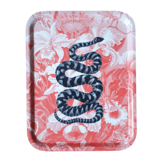 Bandeja snakes rosa 20x26,5cm