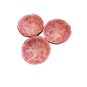 Set de bandejas Radicio